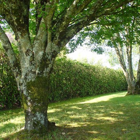 Chambre D'Hotes Bellevue Bressuire Εξωτερικό φωτογραφία