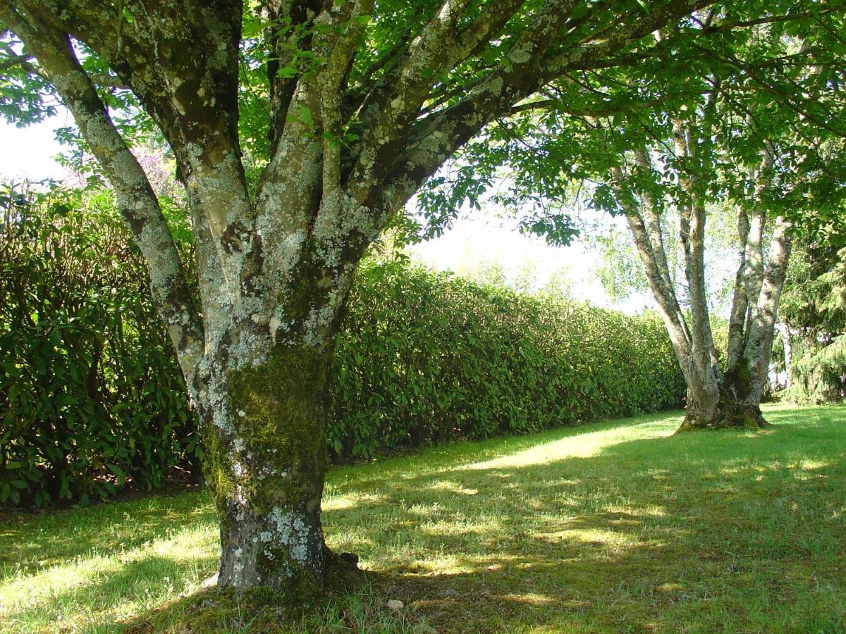 Chambre D'Hotes Bellevue Bressuire Εξωτερικό φωτογραφία
